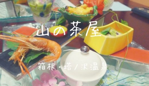 箱根塔ノ沢温泉 山の茶屋