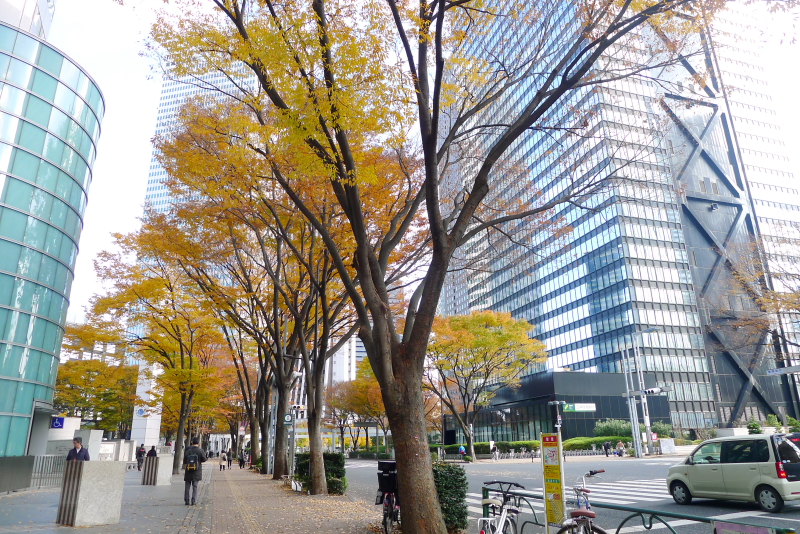 西新宿　オフィス街