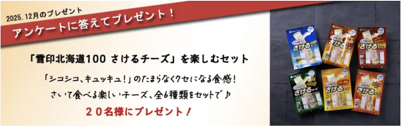 雪印メグミルク｜今月のチーズプレゼント